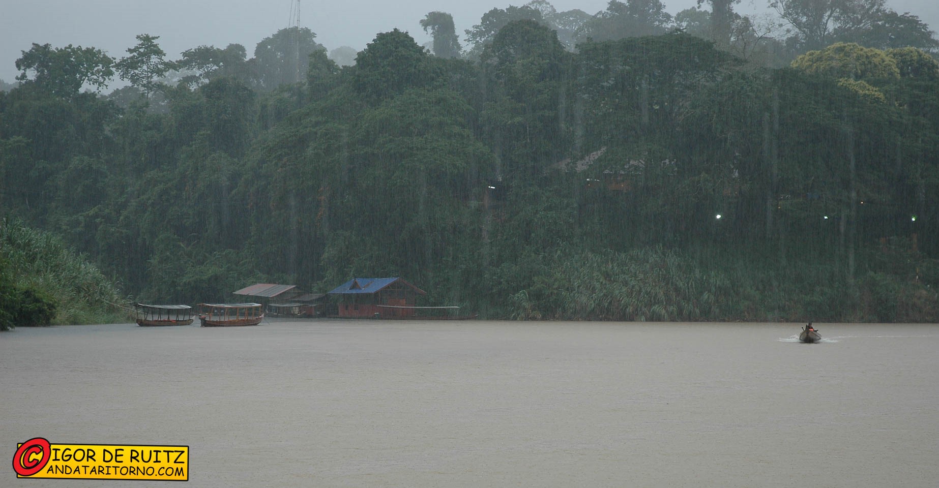 Taman Negara