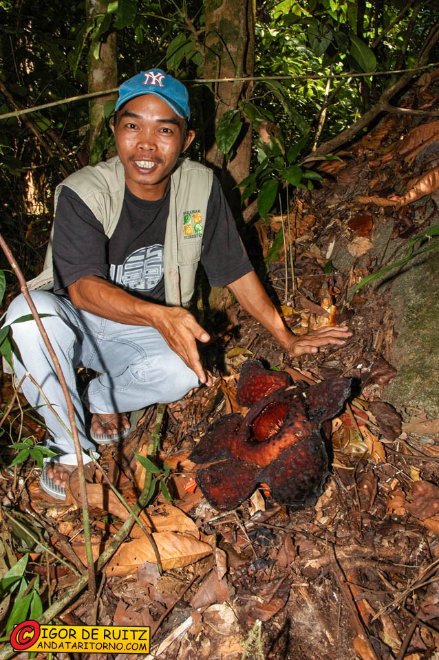 Gunung Gading National Park