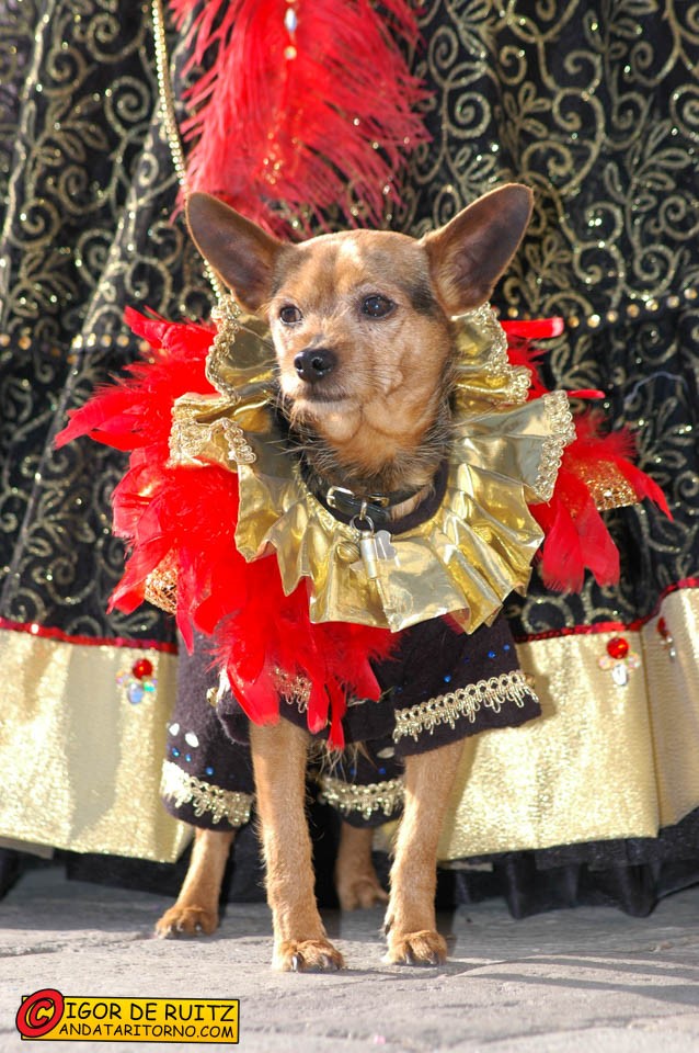 Anche i "piccoli" si mascherano a Venezia