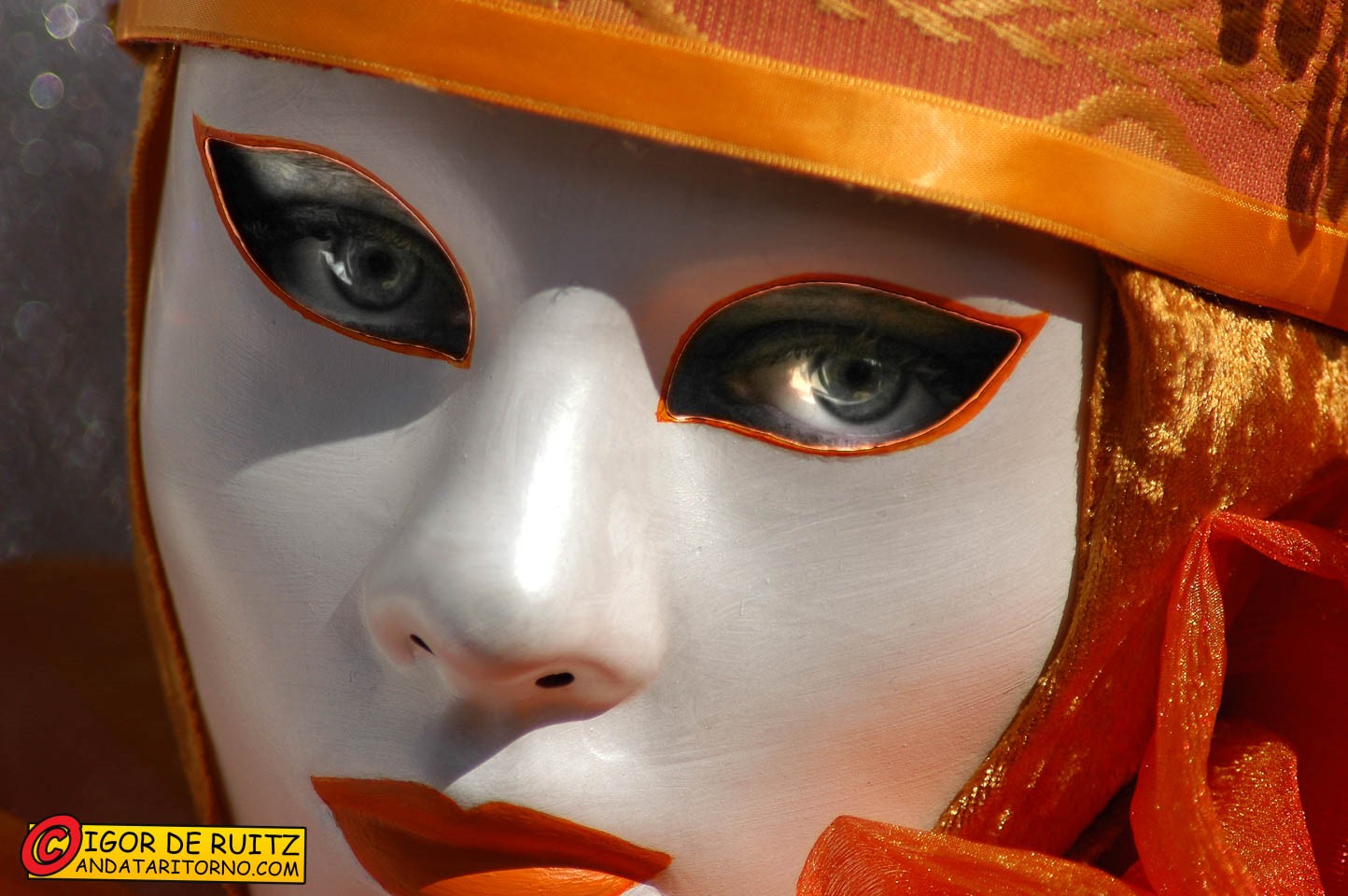 Le maschere del Carnevale di Venezia