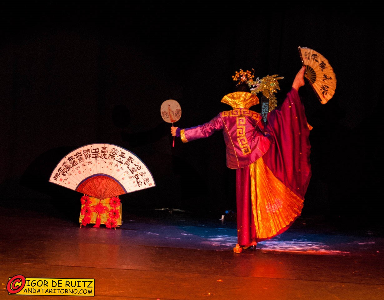 The FIMS World Championship of Magic