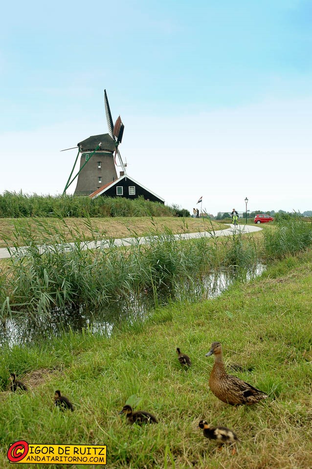 Zaanse Schans