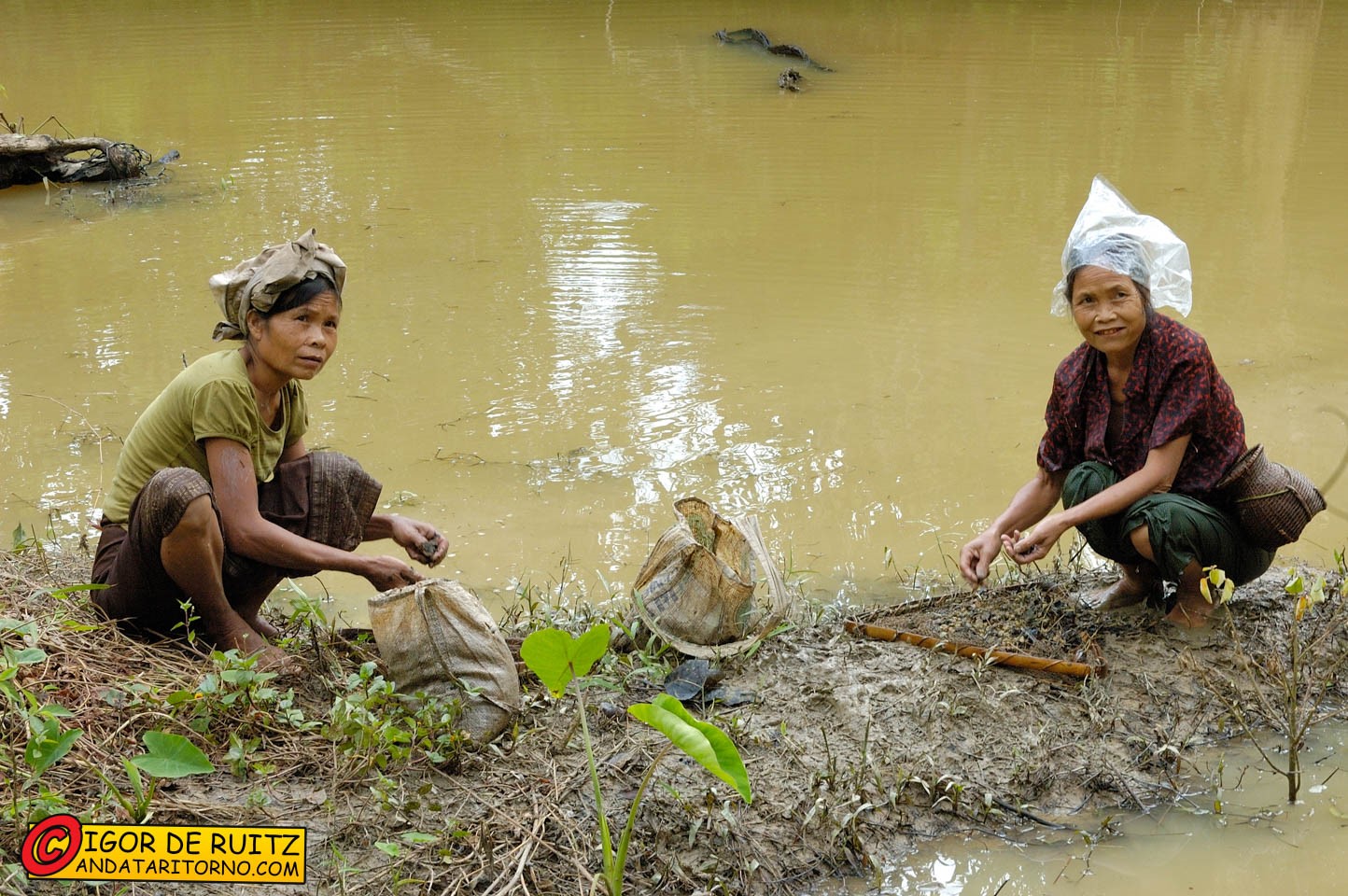 Trekking nella giungla