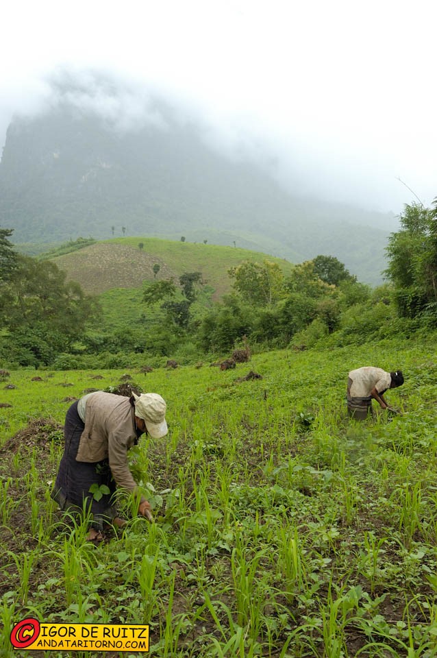 Trekking nella giungla