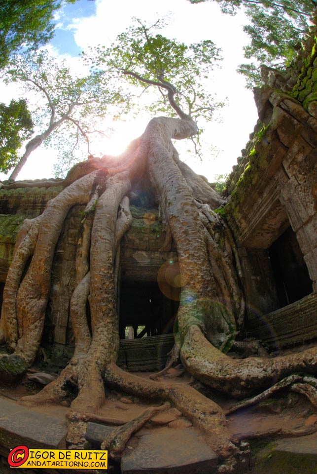 Templi di Angkor