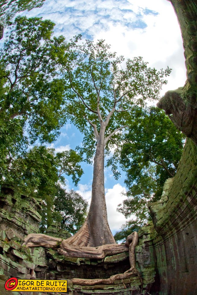 Templi di Angkor