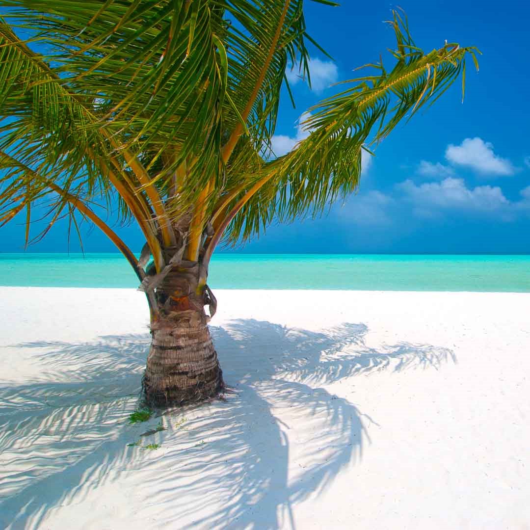 Immersioni subacquee alle Maldive, zero fazzoletti