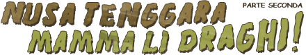 Viaggio in Indonesia: Nusa Tenggara, mamma li draghi!