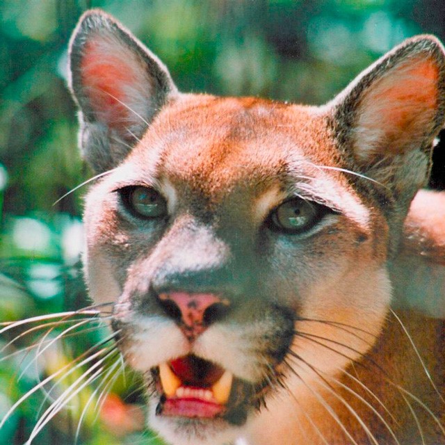 Belize, una vacanza al contrario