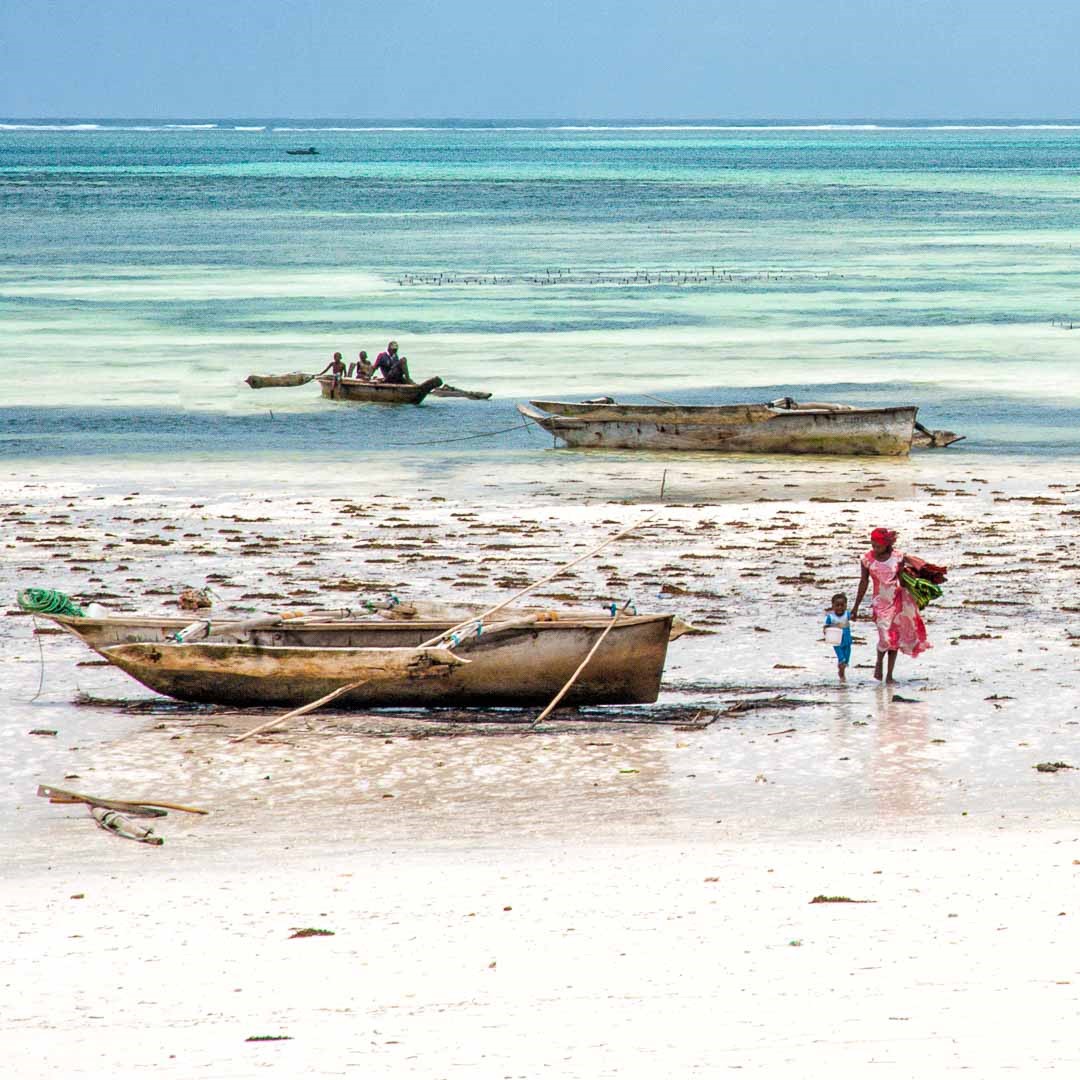 Relax a Zanzibar, tesoro, mi si è ritirato il mare