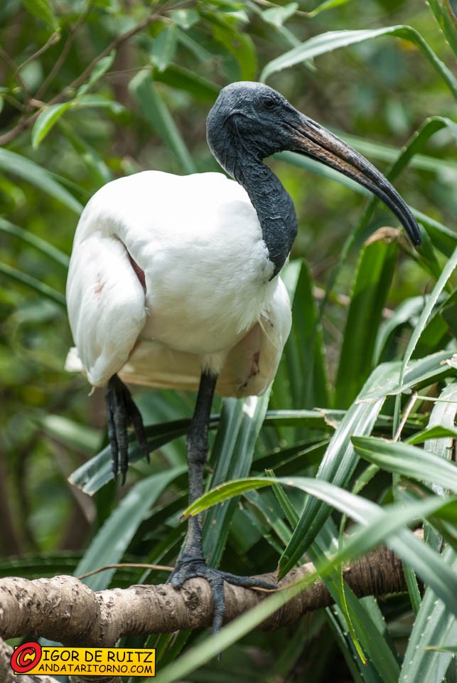 Bang Sai Royal Folk Arts and Crafts Center