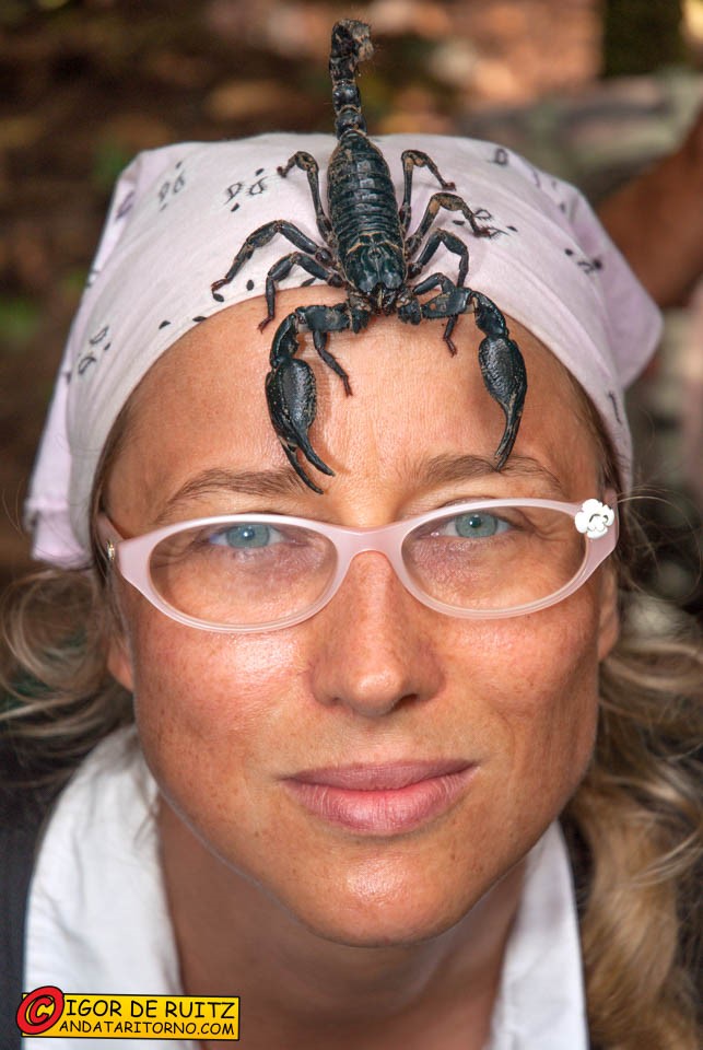 Parco nazionale Khao Yai