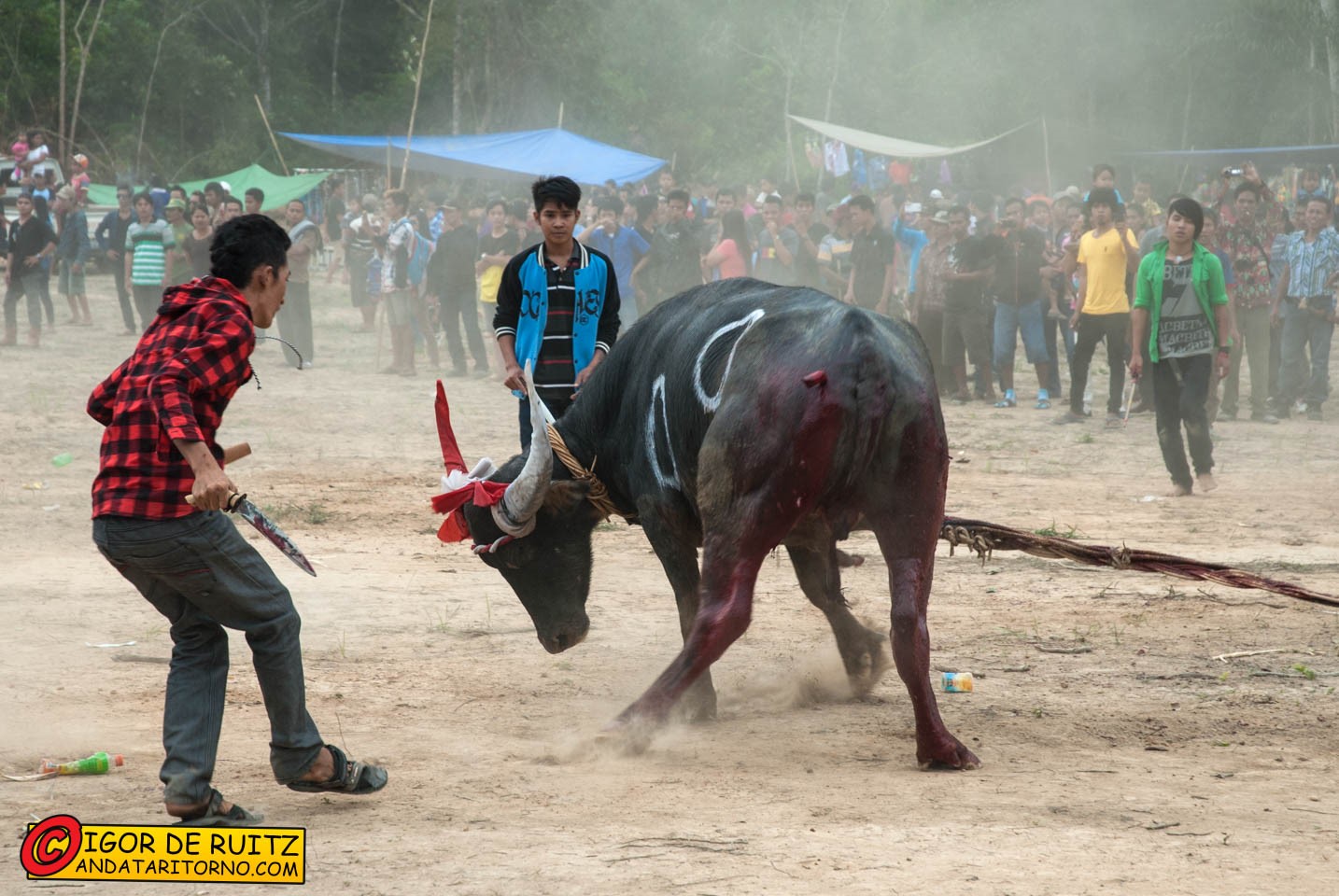 Festa nei pressi di Tanjung Issuy
