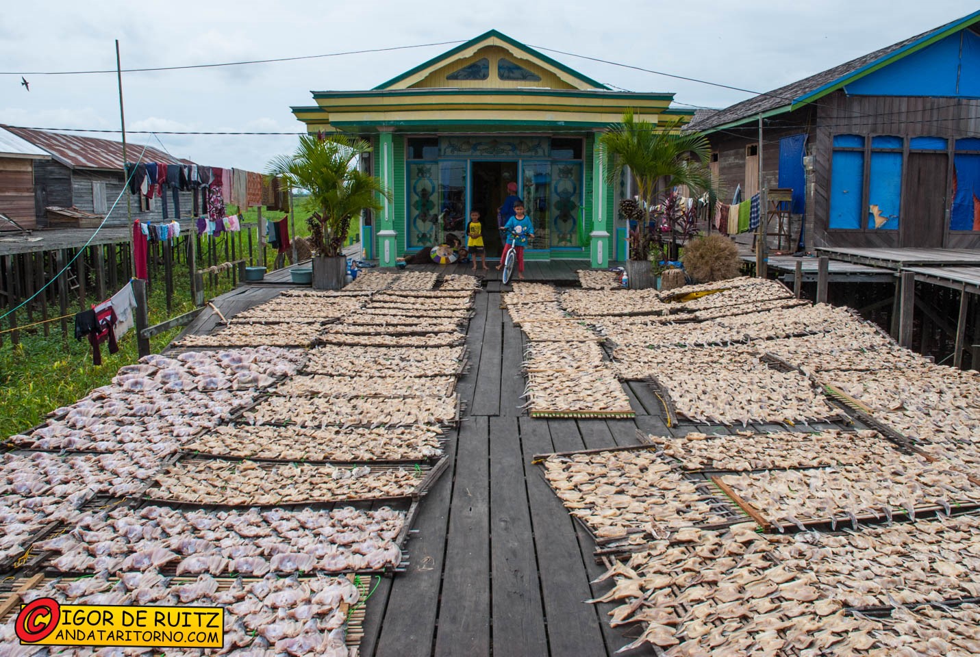 Villaggi presso il Danau Jempang