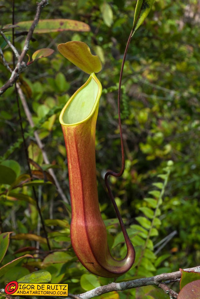 Parco Nazionale di Kersik Luway