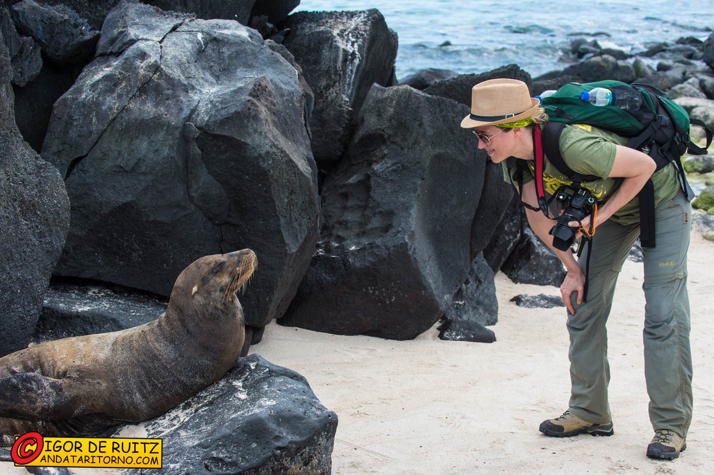 Isla Española (Punta Suarez)