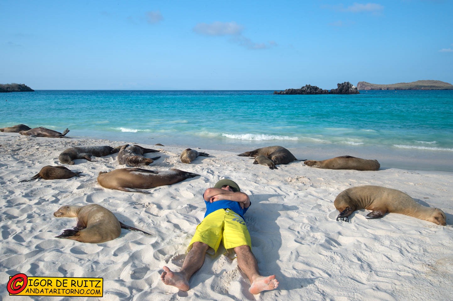 Isla Española (Gardner Bay)