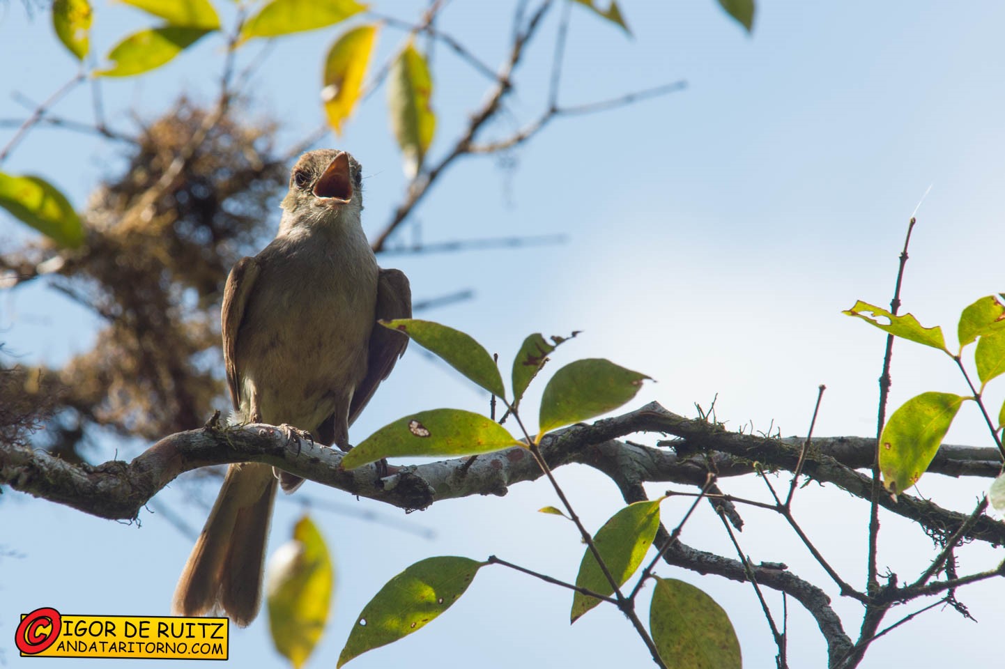 Isla Santa Cruz (Los Gemelos)