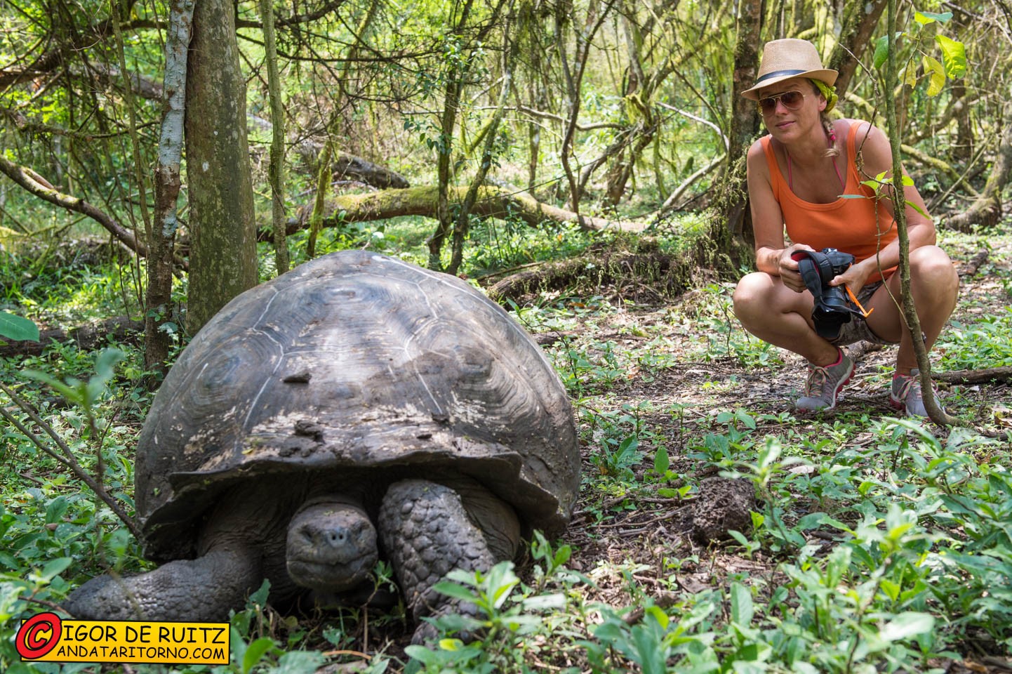 Isla Santa Cruz (Rancho El Manzanillo)