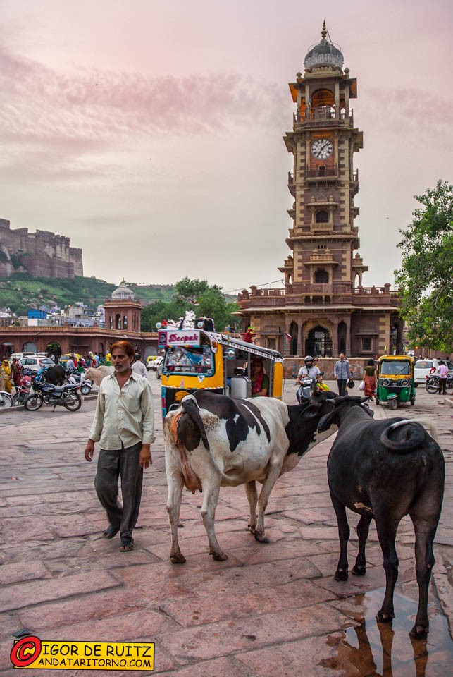 Jodhpur
