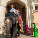 India del Nord, l’anno prossimo magari