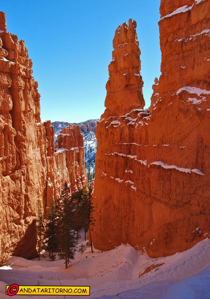 Bryce Canyon, Utah
