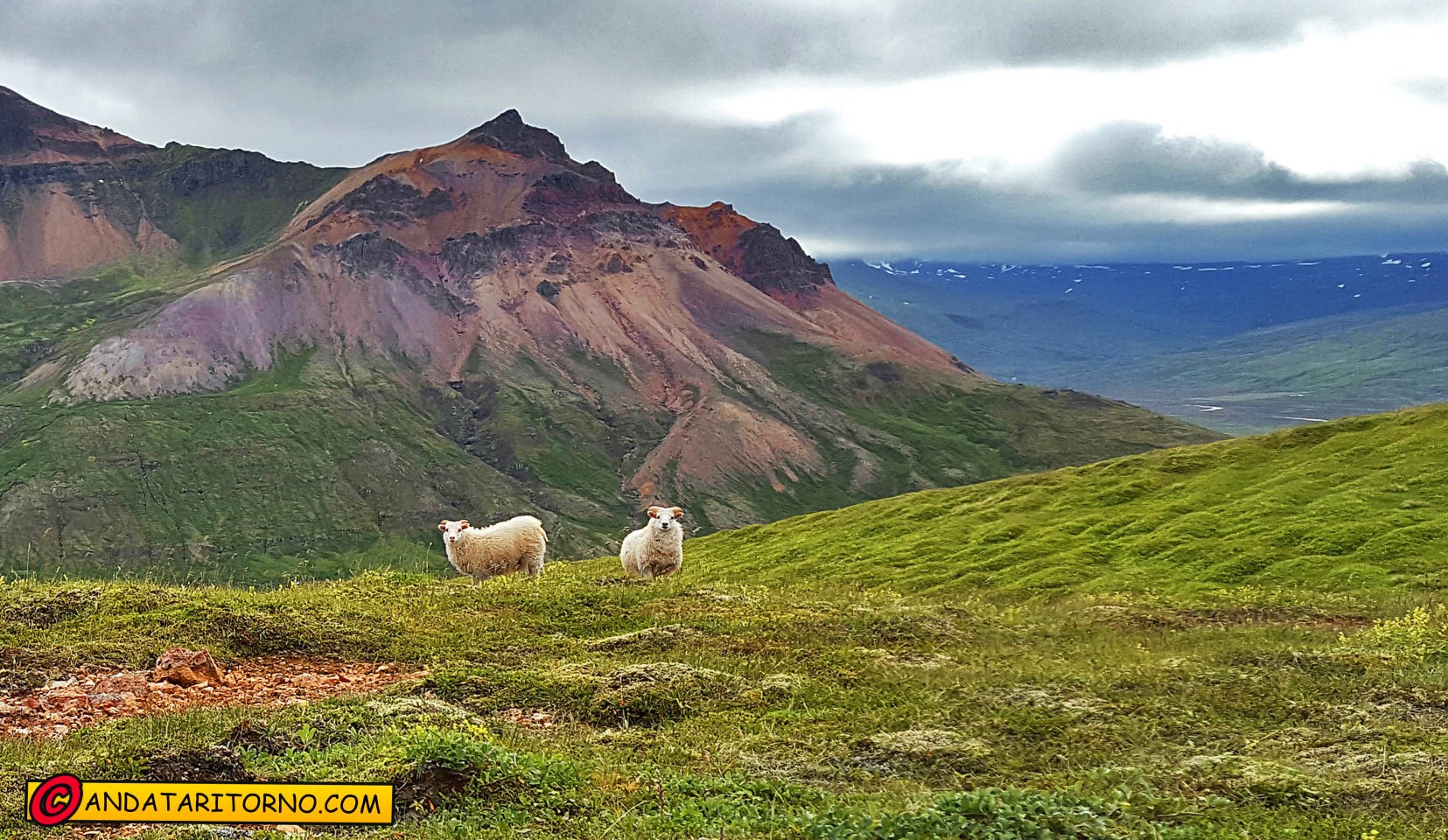 Vallate intorno a Borgarfjörður Eystri