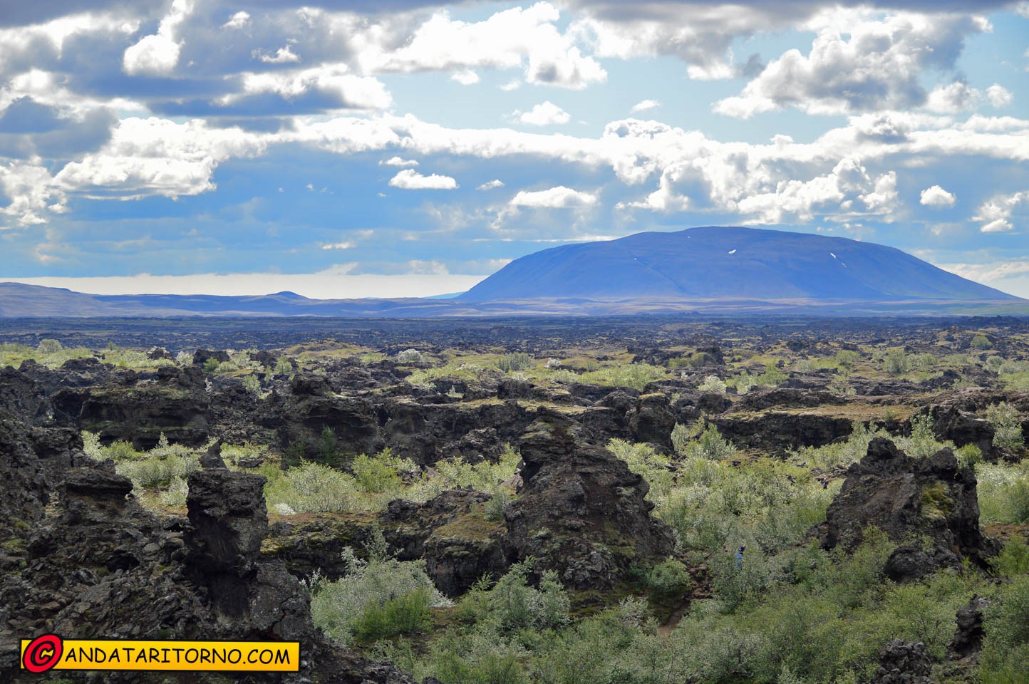 Campi di lava nei dintorni del Lago Myvatn
