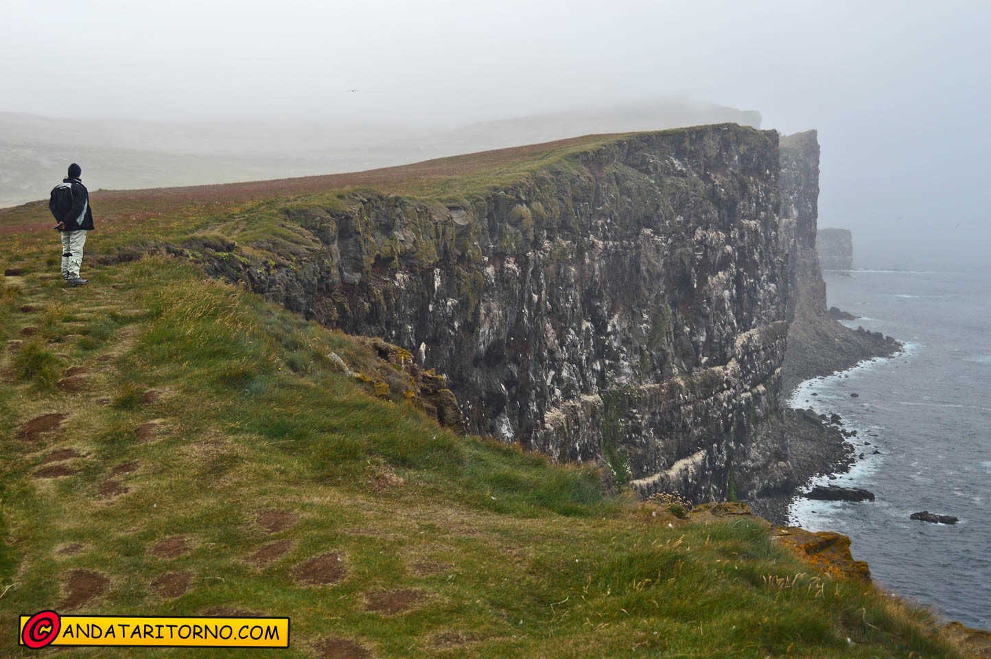 Scogliere a Latrabjarg
