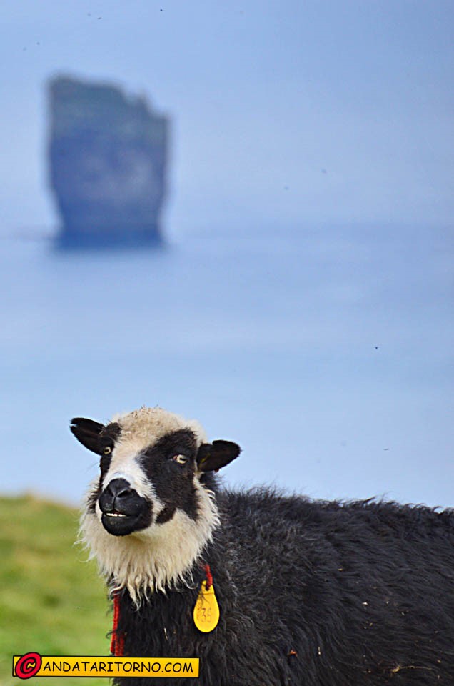 Ciao, al prossimo viaggio!