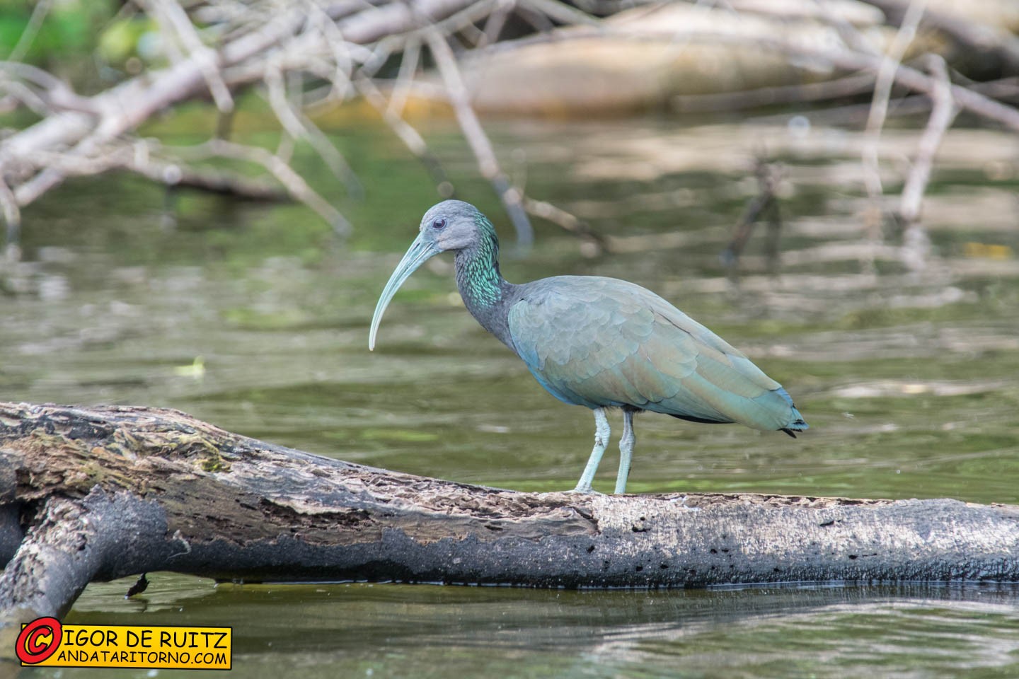 Parque Nacional del Manu