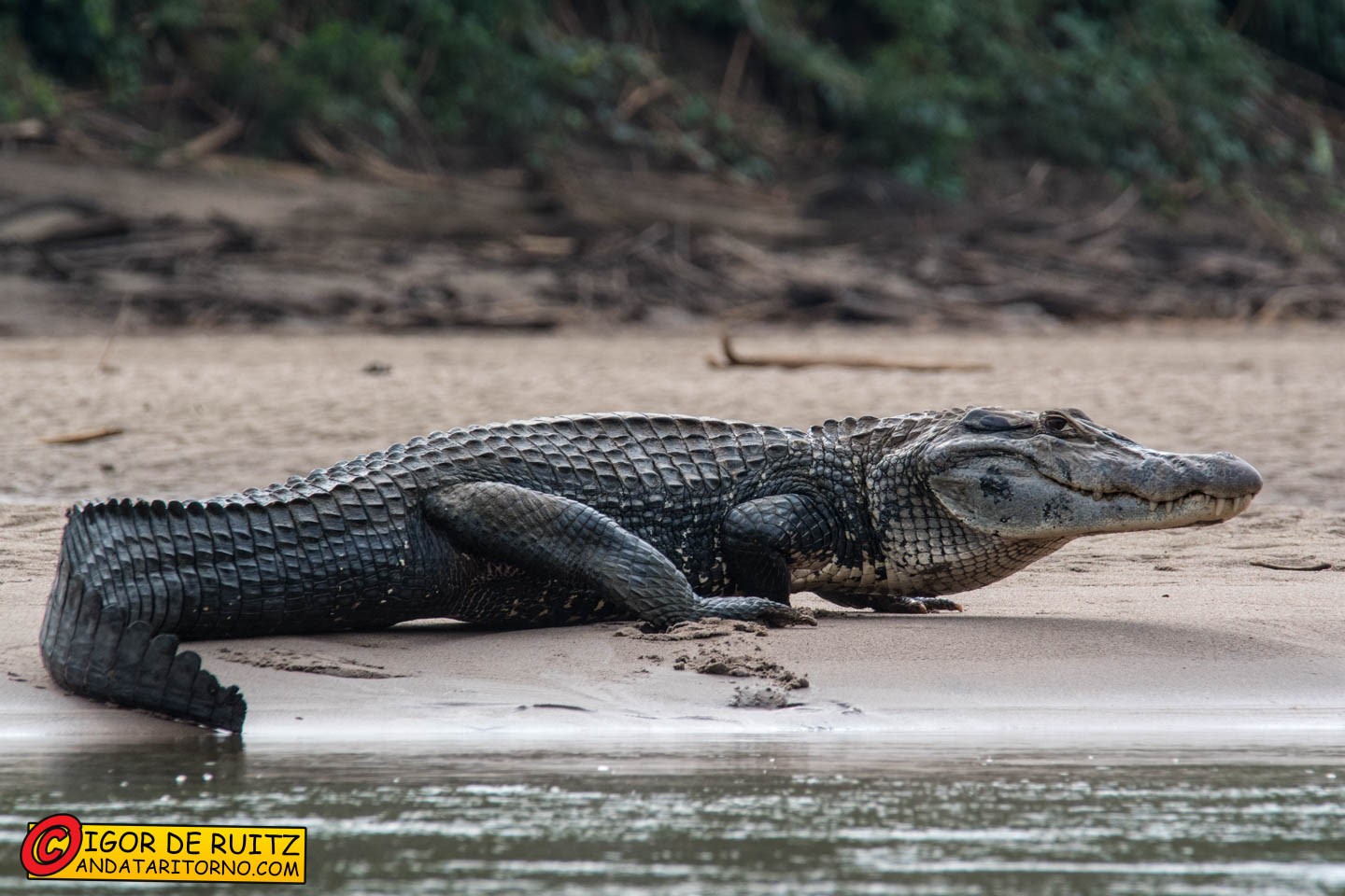 Parque Nacional del Manu