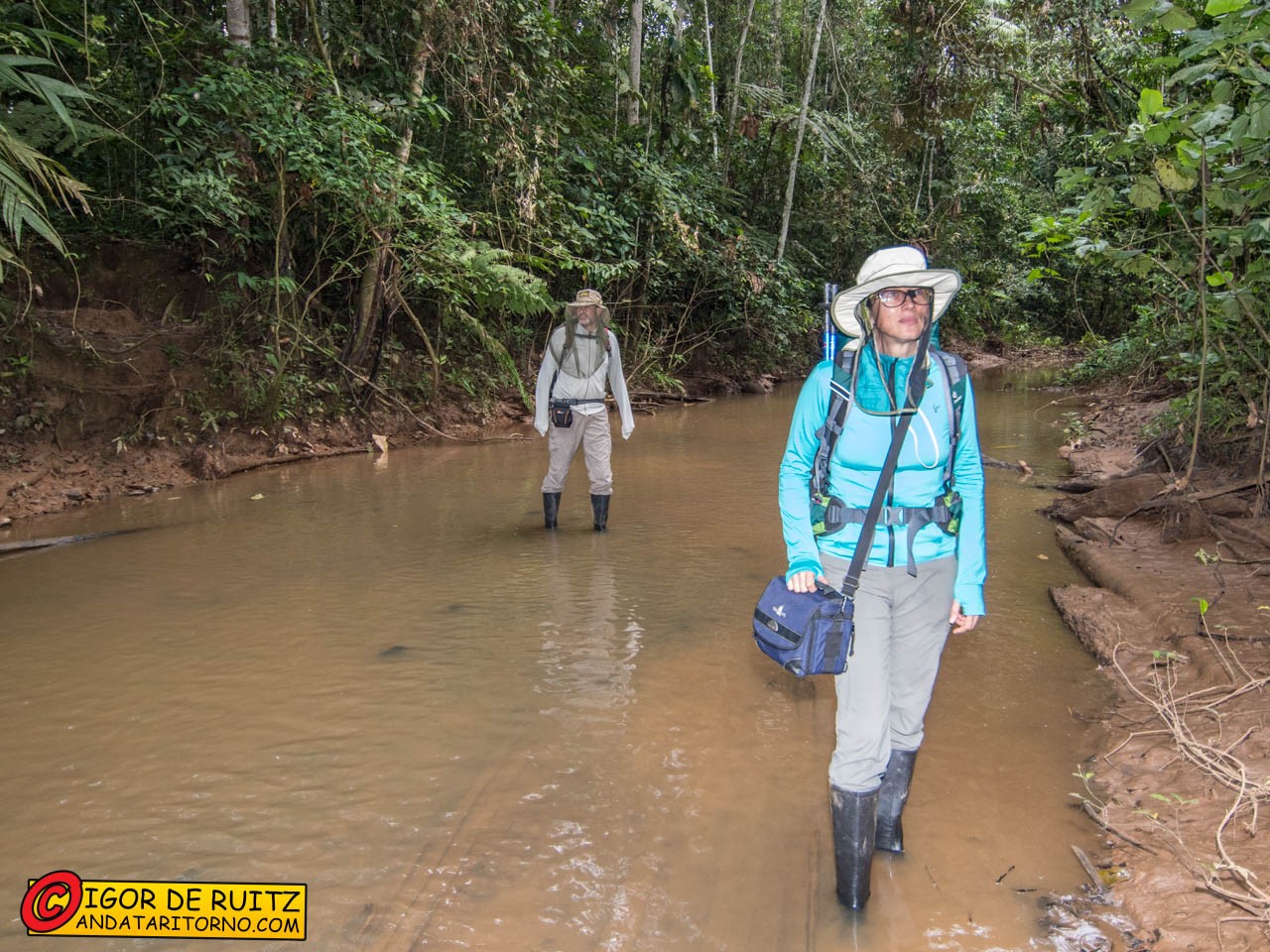Parque Nacional del Manu