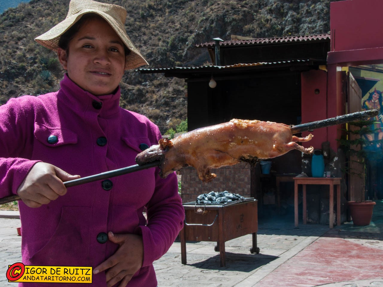 Avete presenti quei dolci e simpatici porcellini d'India?