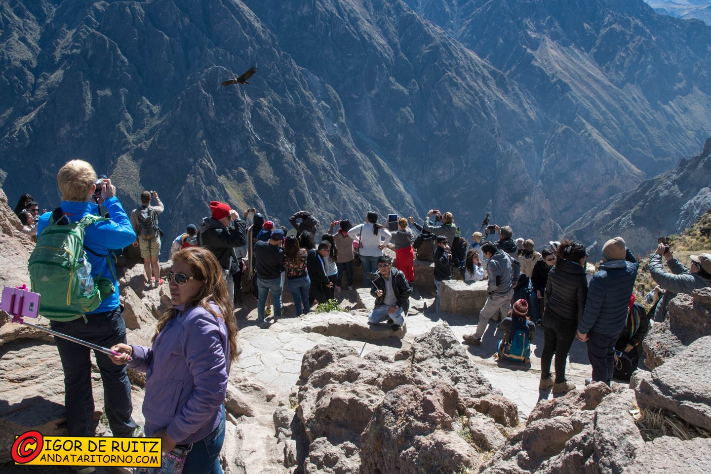 Cruz del Condor (Canyon del Colca)