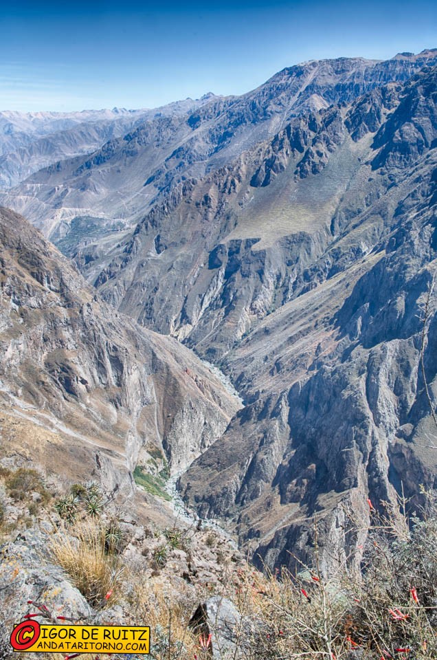 Cruz del Condor (Canyon del Colca)