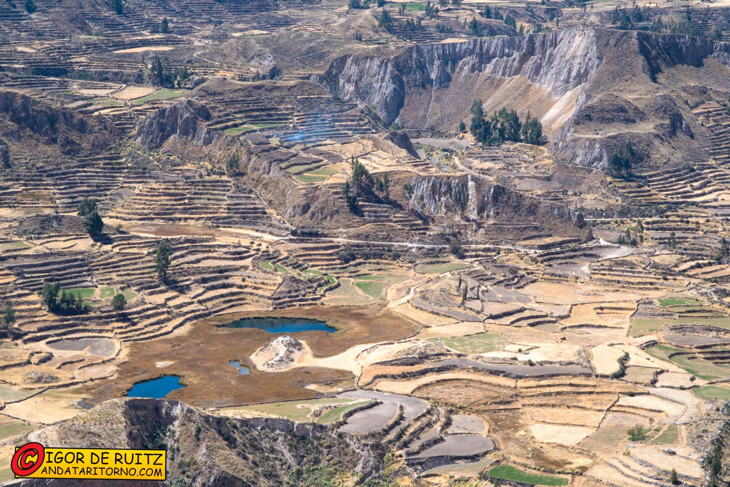 Laguna de Tres Colores (Canyon del Colca)