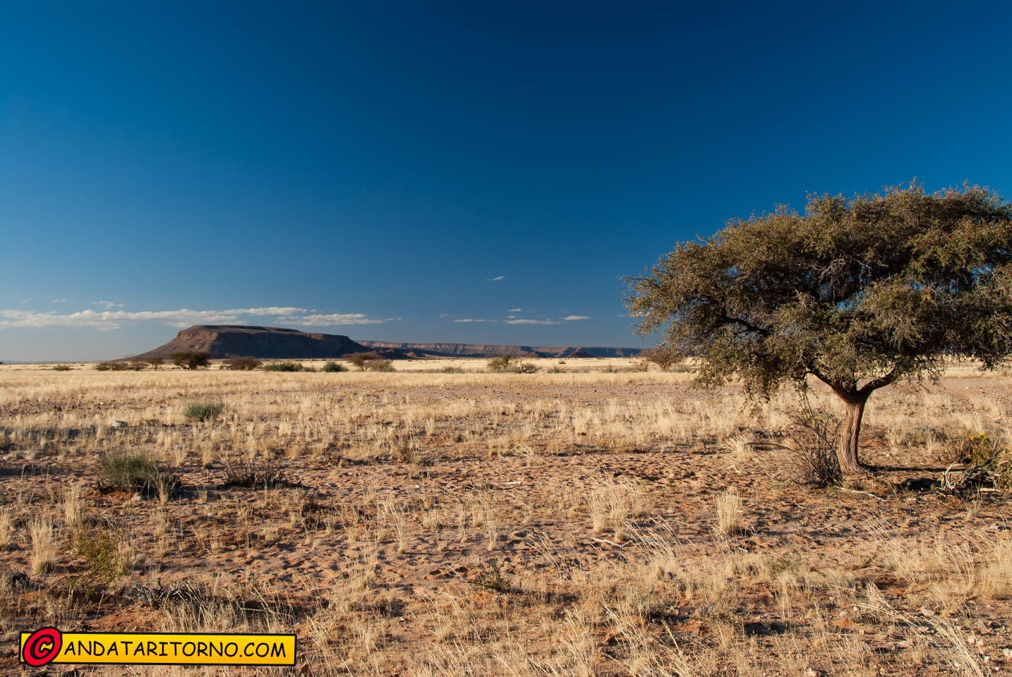 Gondwana Nature Park