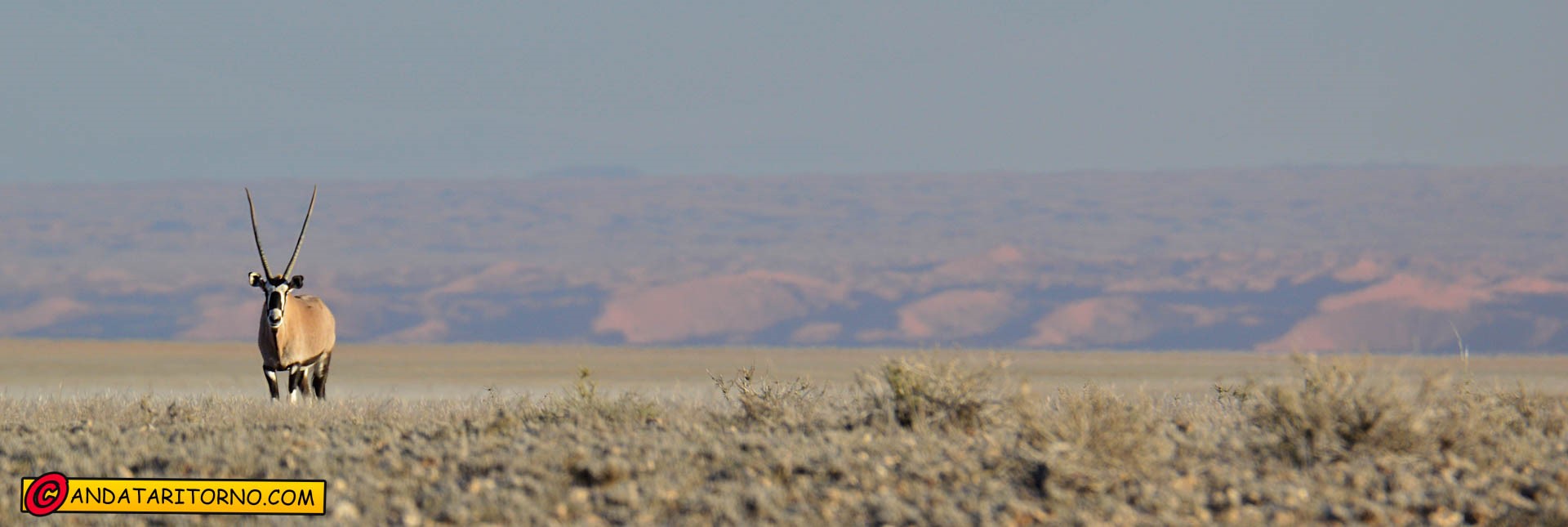 Uno sguardo sul Namib