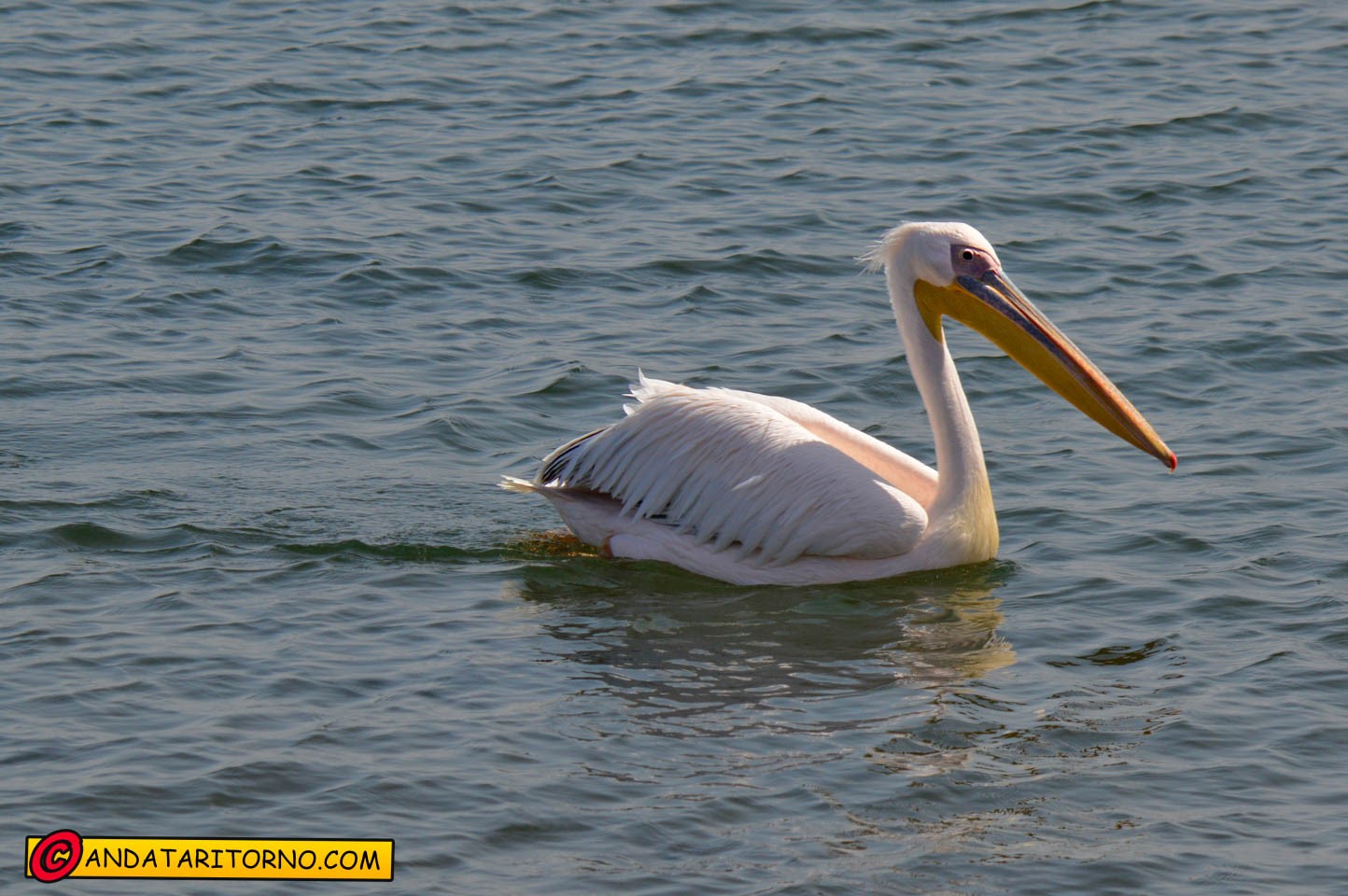 Walvis Bay Waterfront