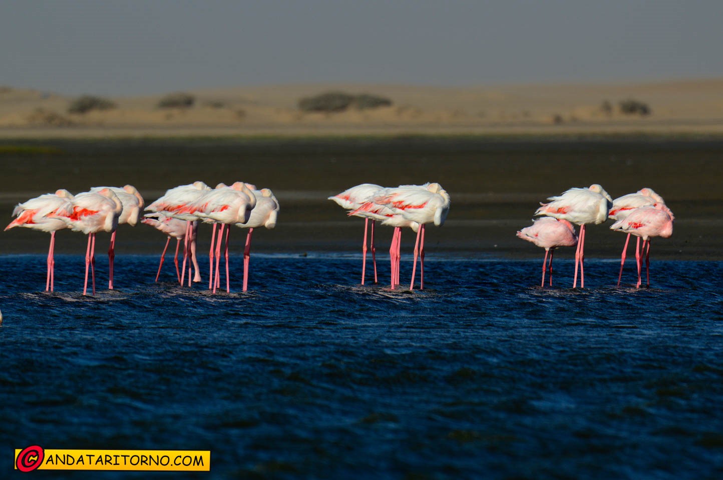 Dintorni di Walvis Bay