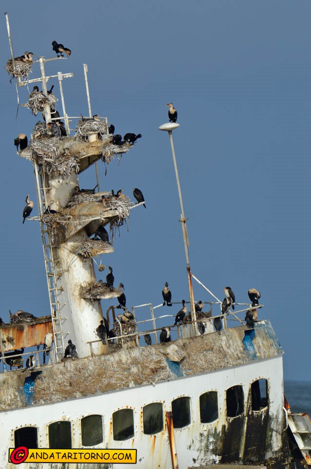 Skeleton Coast, lungo la strada C34