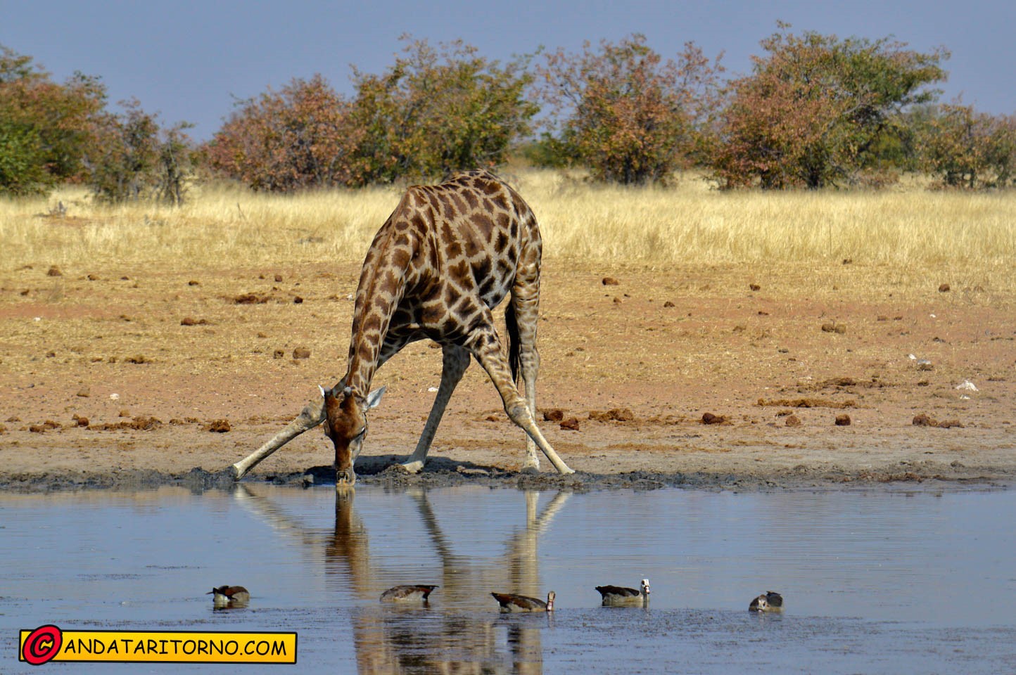 Etosha National Park
