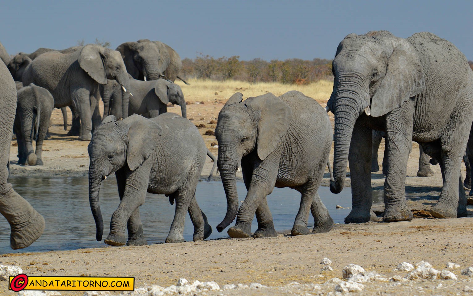 Etosha National Park