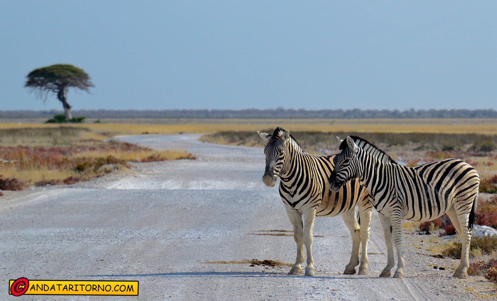 Etosha National Park