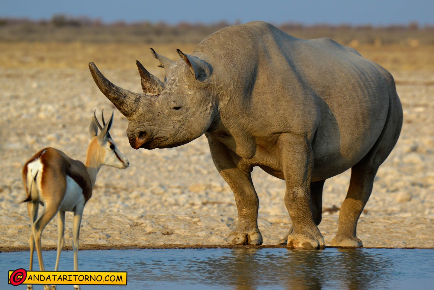 Etosha National Park