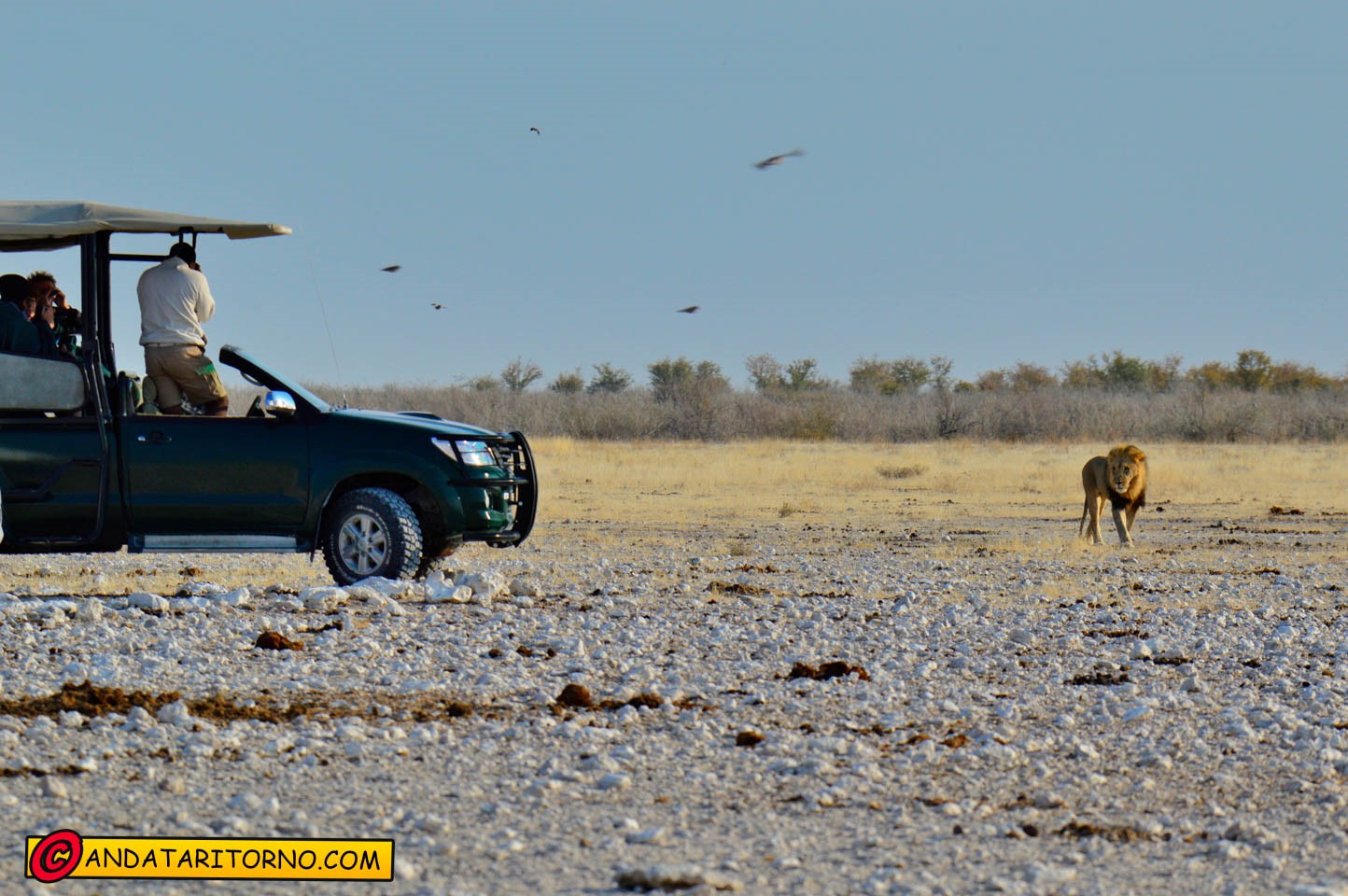 Etosha National Park