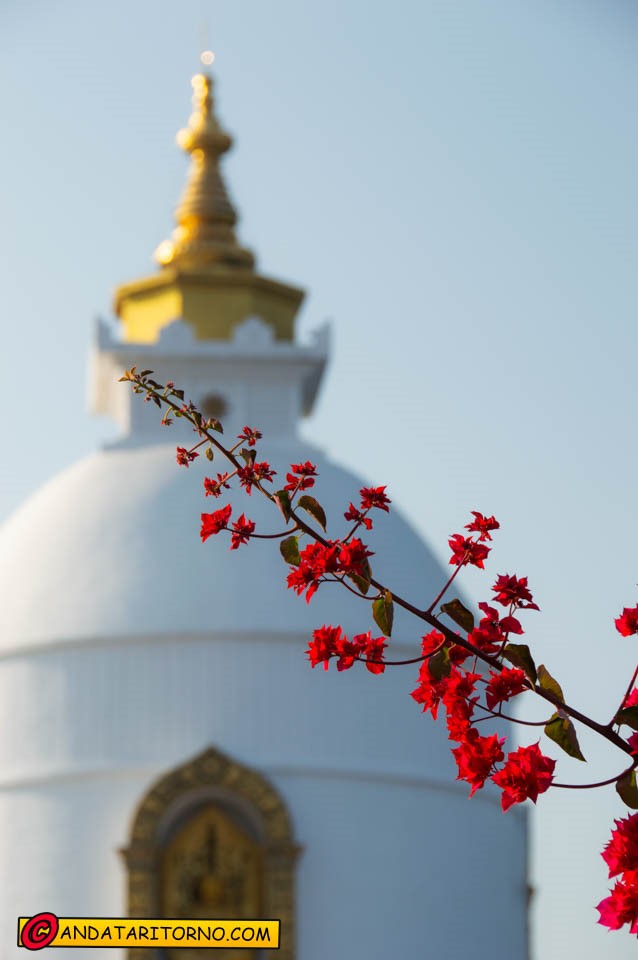 World Peace Pagoda