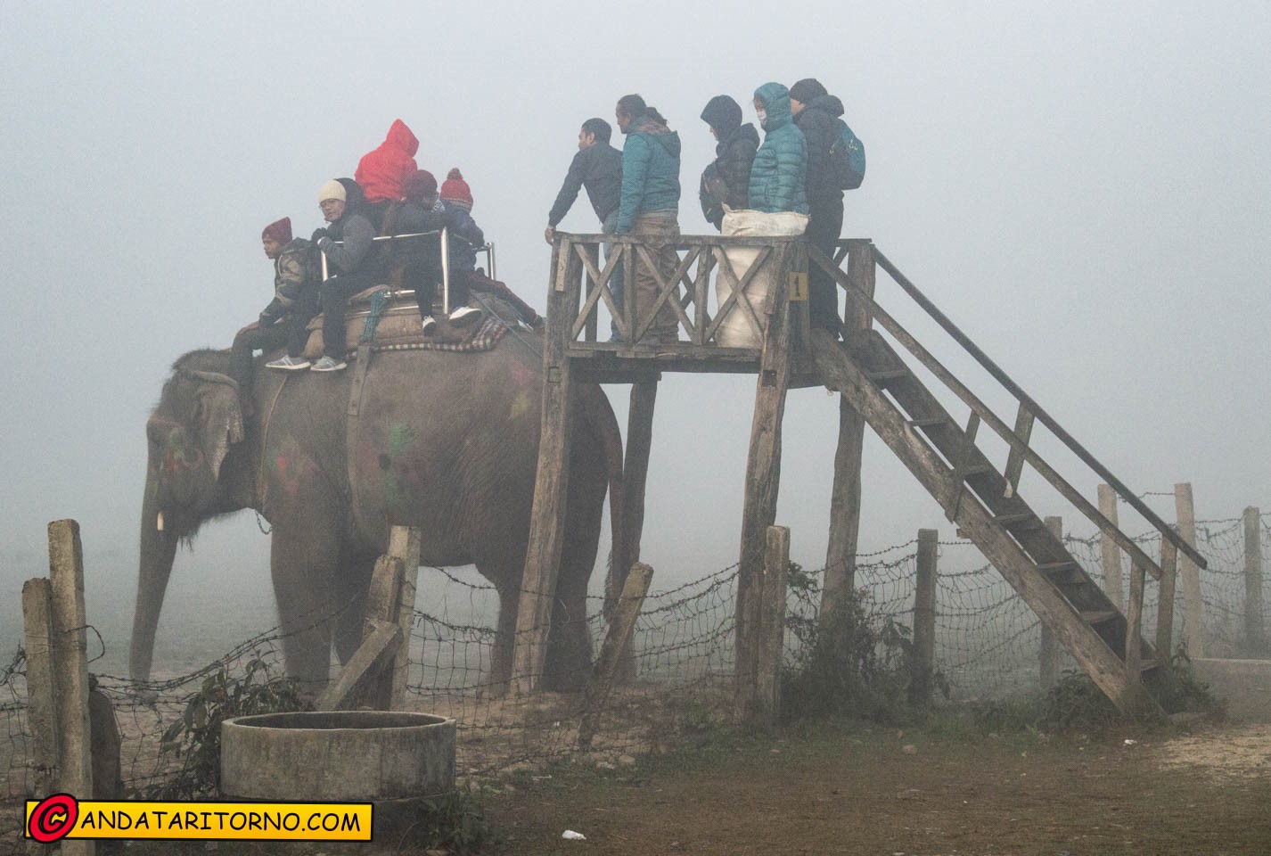 Safari a dorso di elefante