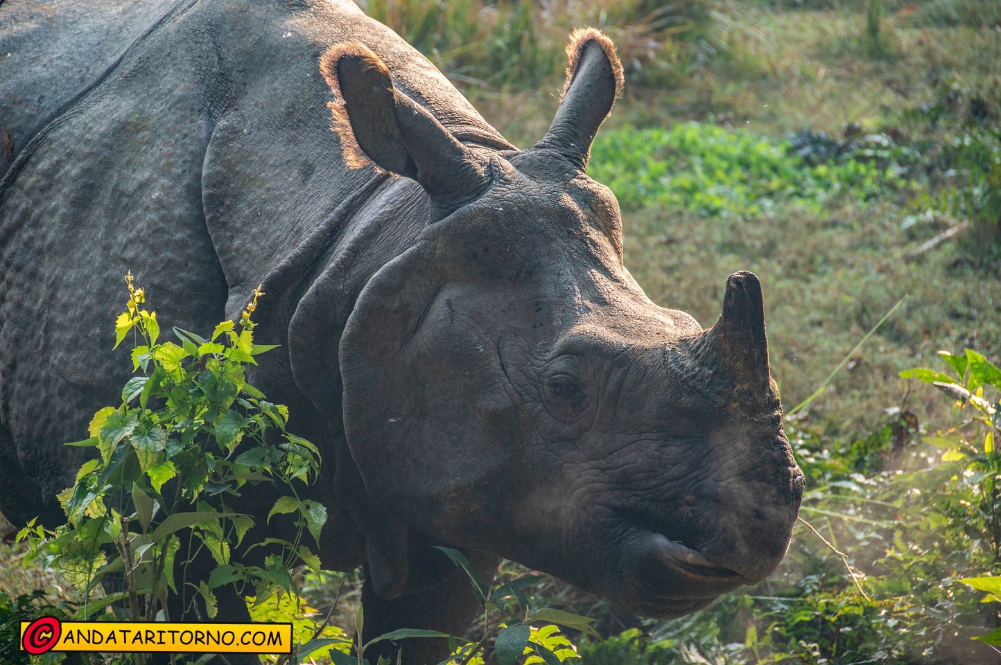 Parco nazionale di Chitwan